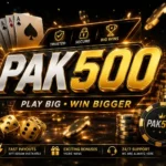 Pak500 Game